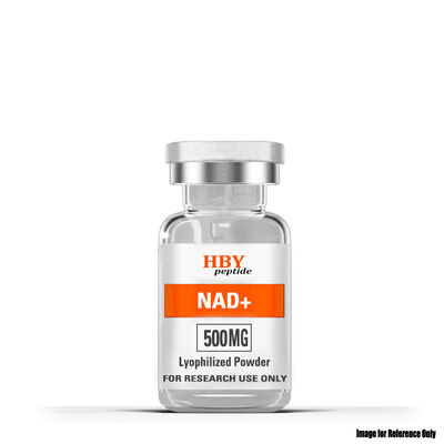 quality NAD+ 粉末 | 提升细胞能量与健康衰老 factory